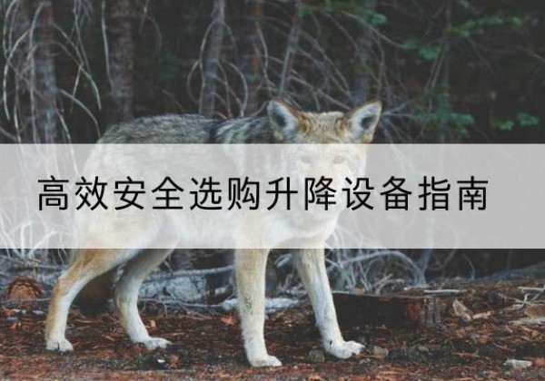 旬邑升降货梯厂家推荐-*安全选购升降设备指南