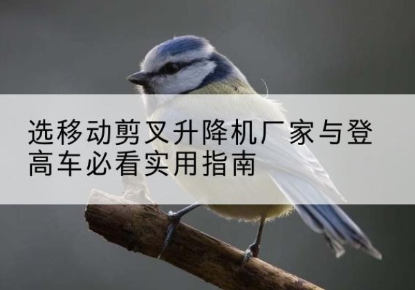旬邑电动升降机厂家-选移动剪叉升降机厂家与登高车必看实用指南